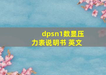 dpsn1数显压力表说明书 英文